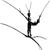 logo_06aec81615245e0f9d3de91407ef8edc_1x